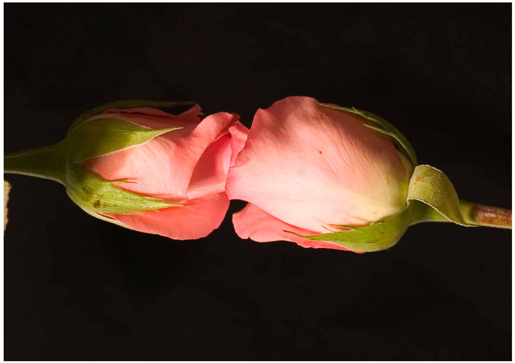 Rosenkuss-Tischset-mit-deinen-Namen-Copy-Shop-Lauf