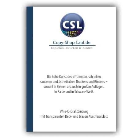 Heißklebebindung – farbiger Druck – ein- und zweiseitig Klebebindung vom Copy-Shop Lauf Druck in Farbe im Format DIN A4. Transparentes Deckblatt, blauer Abschluss